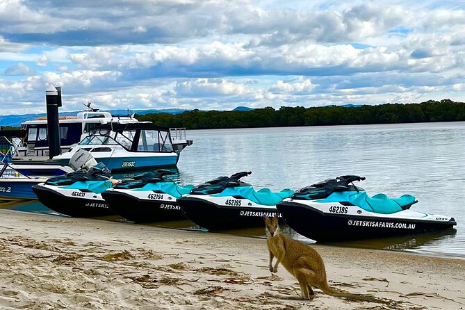 1.5 hr Jet Ski Safari tour to South Stradbroke Island! - Safety, ages, and riding ability