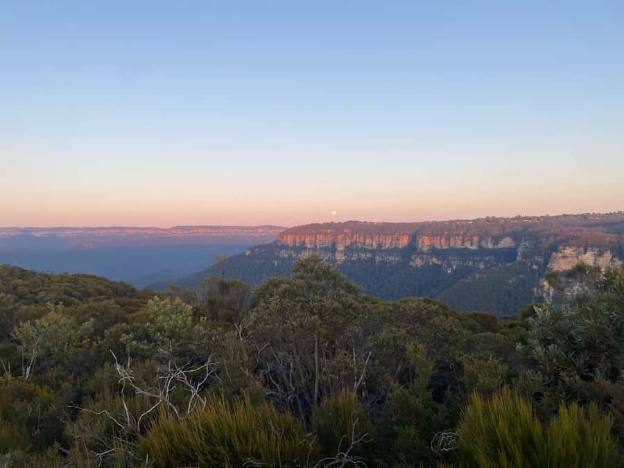 #1 Blue Mountains Tour Scenic World Waterfalls Wildlife Park - The ride back to Sydney