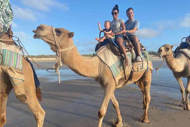 1 Hour Broome Sunset Camel Tour - Key things to know before you book