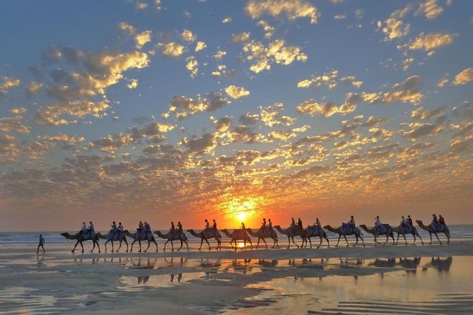 1 Hour Broome Sunset Camel Tour - Why this one-hour Cable Beach ride works so well
