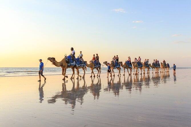 1 Hour Broome Sunset Camel Tour - The slow walk along Cable Beach
