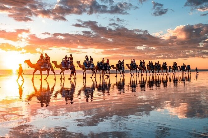 1 Hour Broome Sunset Camel Tour - What $125 gets you