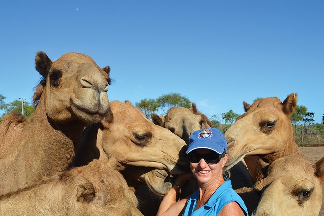 1 Hour Broome Sunset Camel Tour - Who will enjoy this ride most