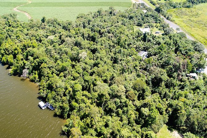 1-Hour Daintree River wildlife cruise - Is $25.10 good value?