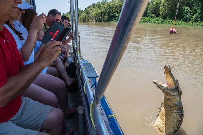 1 Hour Jumping Crocodile Cruise on the Adelaide River - The crocodiles are the stars, but they do not take requests