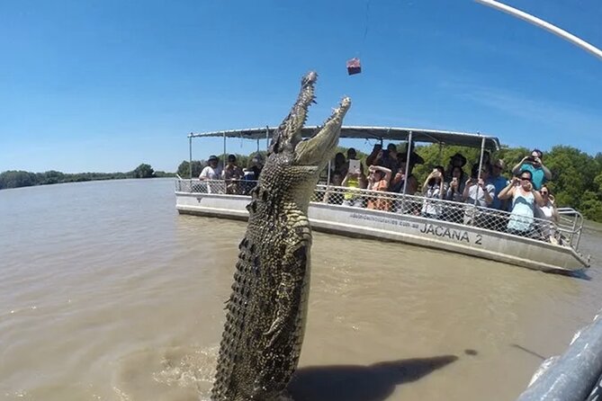 1 Hour Jumping Crocodile Cruise on the Adelaide River - Who should book this crocodile cruise?