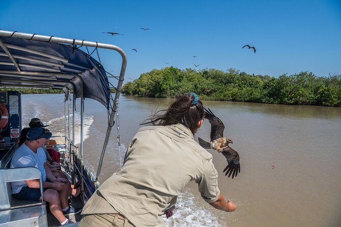 1 Hour Jumping Crocodile Cruise on the Adelaide River - What happens during the one-hour cruise