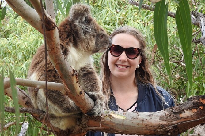 10-Day Adelaide to Perth Adventure Tour - Days 7 and 8: Esperance, granite peaks, and giant trees