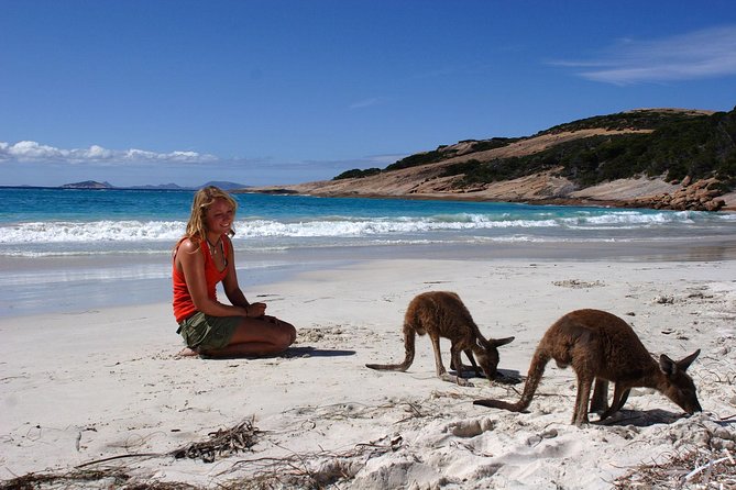 10-Day Adelaide to Perth Adventure Tour - Day 3: Sea lions, surf, and the road to Penong