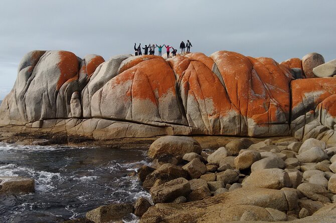 10 Days Ultimate Guided Tour of Tasmania - Comfort Tour - Days 3 and 4: Remote coast and the Tarkine