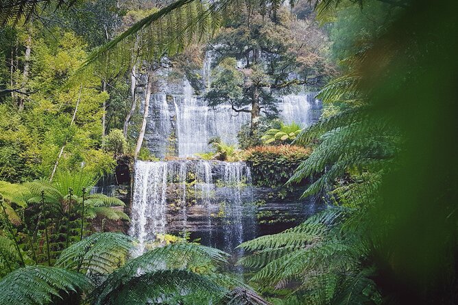 10 Days Ultimate Guided Tour of Tasmania - Comfort Tour - Days 6 and 7: From Cataract Gorge to Wineglass Bay