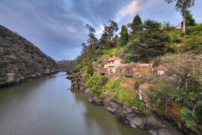 10 Days Ultimate Guided Tour of Tasmania - Comfort Tour - Days 8 and 9: Bonorong, kunanyi, Richmond, and Bruny Island