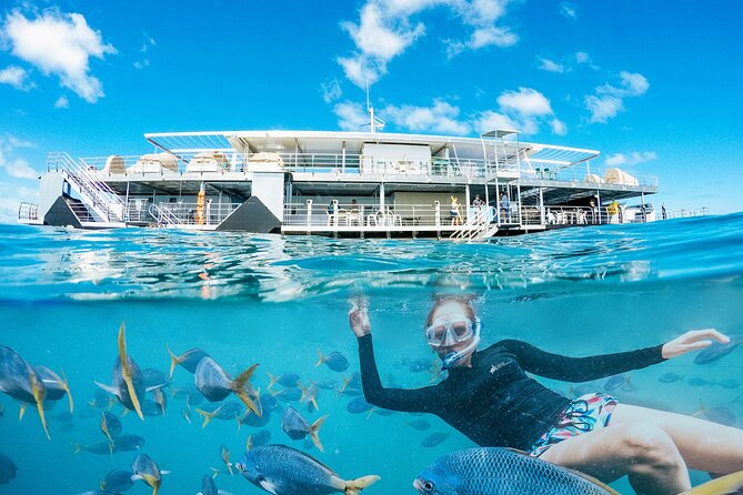 2-Day Great Barrier Reef: Reefsleep Experience - Snorkeling, semi-submersible viewing, and optional scuba