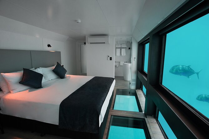 2 Day Great Barrier Reef "Reefsuites" Experience - Choosing your reef activities at Hardy Reef