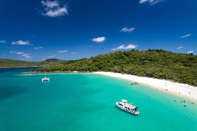 2 Day Great Barrier Reef "Reefsuites" Experience - Morning on the reef and the return trip