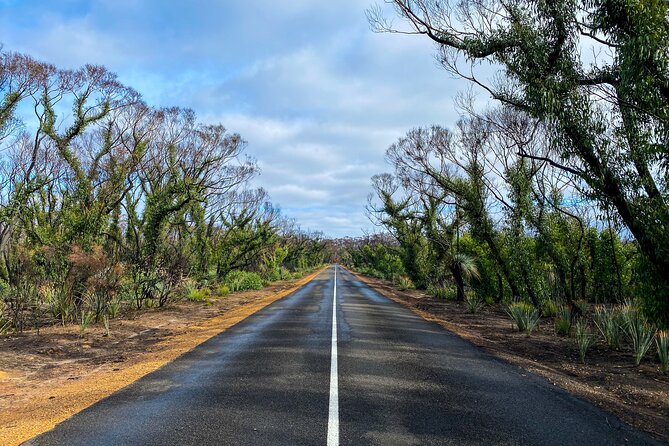 2 day Ultimate Kangaroo Island with return ferry - Flinders Chase brings the island’s scenery into focus