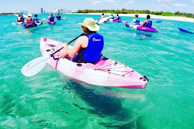 2-Hour Dolphin Kayak & Snorkel Tour on the Broadwater - Guides who make a difference