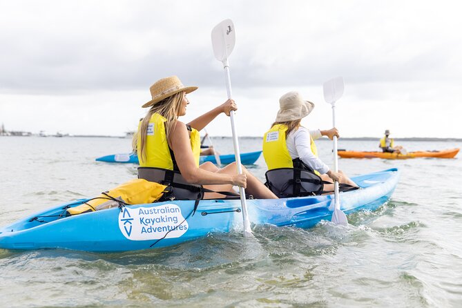 2-Hour Dolphin Kayak & Snorkel Tour on the Broadwater - Is $62.40 a fair price?
