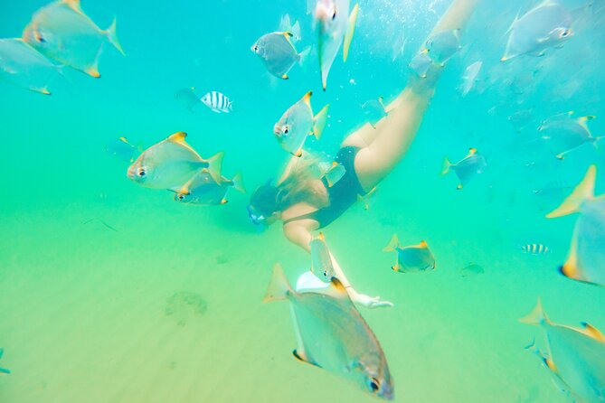 2-Hour Dolphin Kayak & Snorkel Tour on the Broadwater - Who will enjoy this outing most?