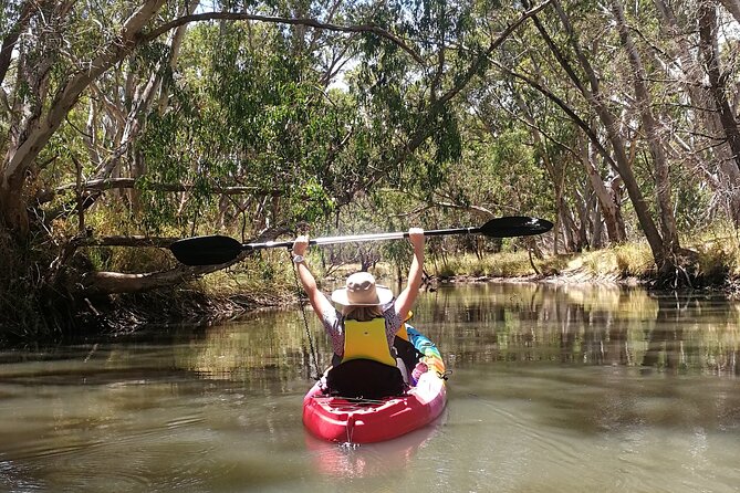 2-Hour Kayaking Experience in Barossa Valley - Starting at Warren Reservoir’s Southern Car Park