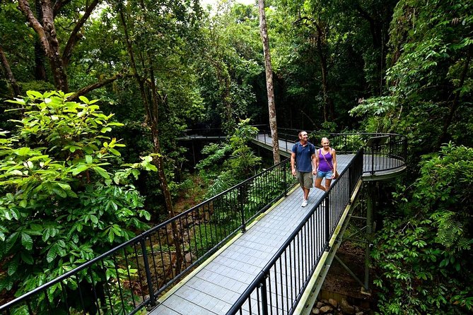 3-Day Best of Cairns Combo: The Daintree Rainforest, Great Barrier Reef, and Kuranda - What this three-day Cairns package actually gives you