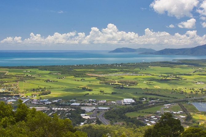3-Day Best of Cairns Combo: The Daintree Rainforest, Great Barrier Reef, and Kuranda - Day three: Kuranda by train, market, and Skyrail