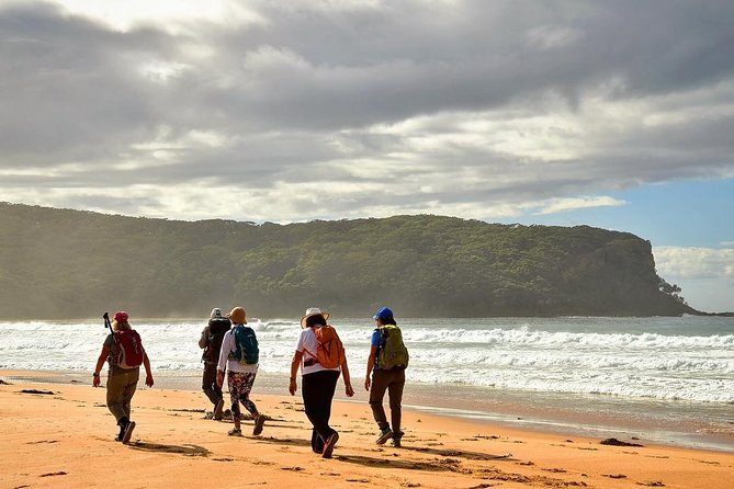 3 Day Murramarang Coast Journey from Batemans Bay with Meals and Villa Accom - Day 3: Rainforest walking toward Pebbly Beach