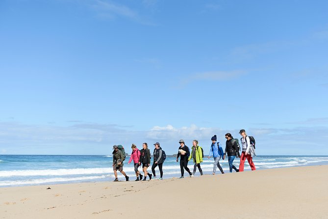 3 Day Murramarang Coast Journey from Batemans Bay with Meals and Villa Accom - Food and cabins: comfort after the trail