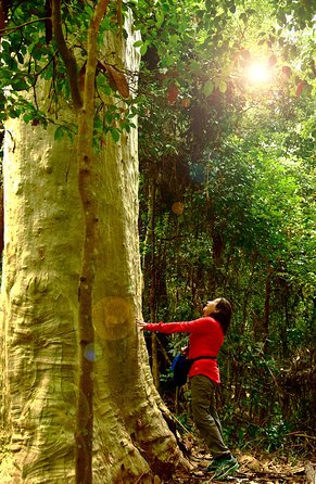 3 Day Murramarang Coast Journey from Batemans Bay with Meals and Villa Accom - Is the $1,398.62 price good value?