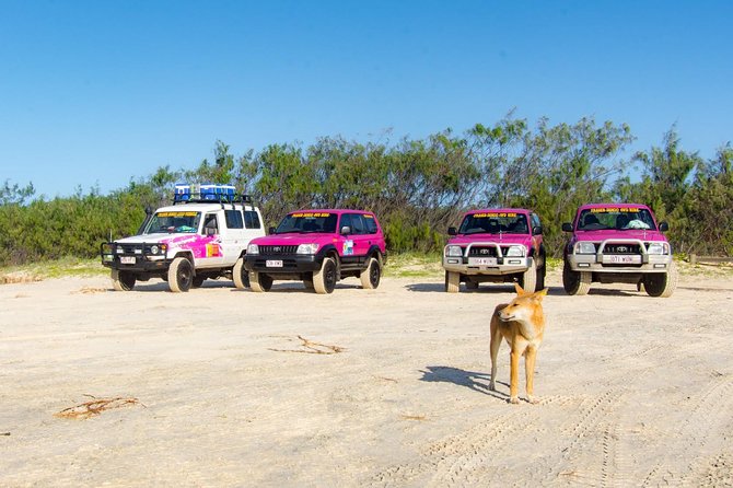 3 Day PINK4WD Tagalong Tour - K'gari/Fraser Island - The pink 4WD choice
