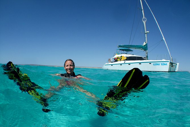 3 Night Ningaloo Reef Snorkel and Dive Getaway from Coral Bay - Day 4: Manta ray country before returning to Coral Bay