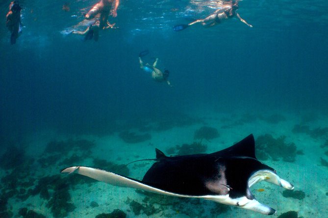 3 Night Ningaloo Reef Snorkel and Dive Getaway from Coral Bay - Who will enjoy this trip most