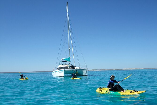 3 Night Ningaloo Reef Snorkel and Dive Getaway from Coral Bay - Practical details before you commit