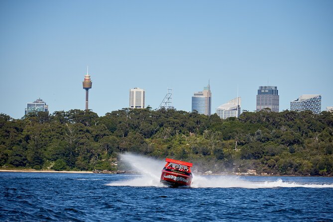 30-Minute Sydney Harbour Jet Boat Thrill Ride - Timing and meeting point advice