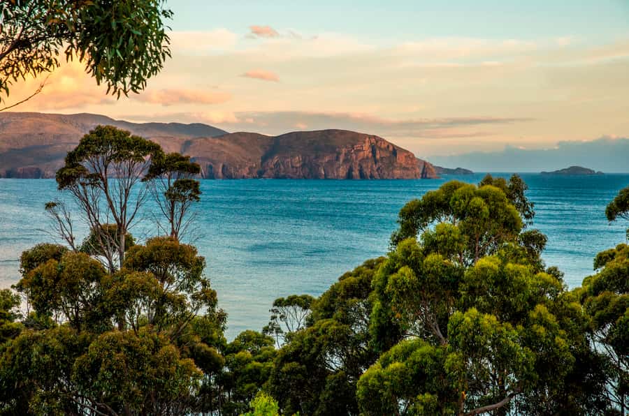 3D Tasmanian Highlights: Hobart, Port Arthur & Bruny Island - Day three: four hours at Port Arthur
