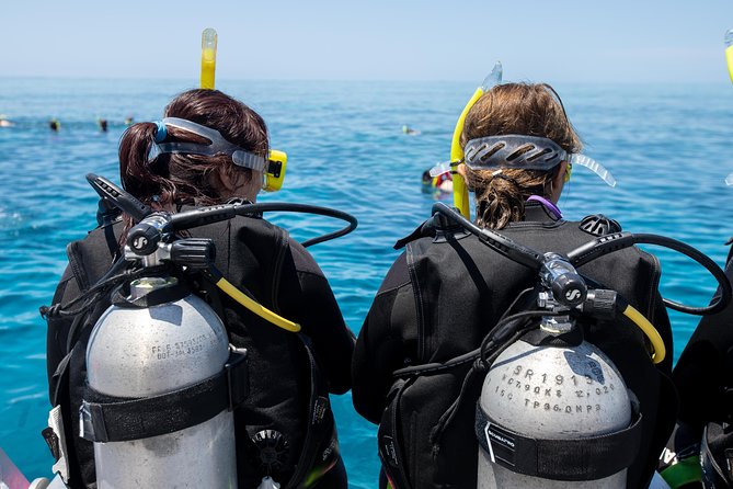 4-Day PADI Open Water Dive Course - Learn to Dive on the Great Barrier Reef - What you can see beneath the surface