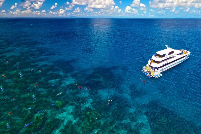4-Day PADI Open Water Dive Course - Learn to Dive on the Great Barrier Reef - What the $677.79 price really covers