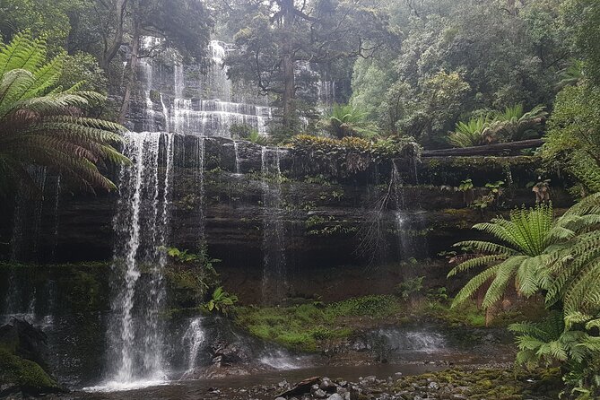 4 Day Wild Tasmania Tour / Wildlife, Nature, Hiking / Inc. Accom - Hiking, pace and group size
