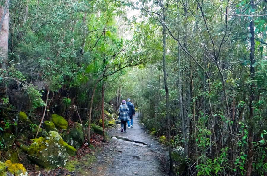 48-Hour Hobart City Loop Tour and Mt Wellington - Practical details that affect your day