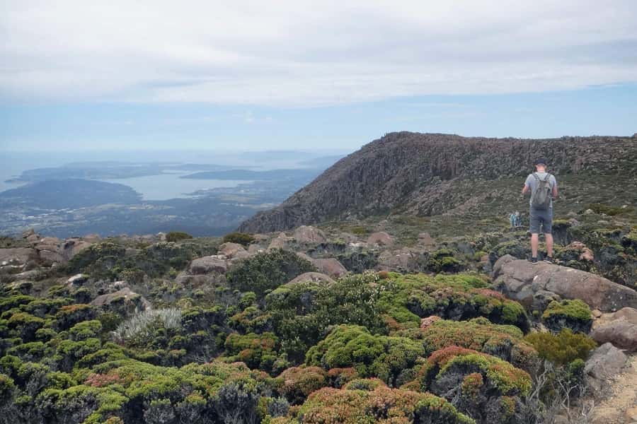 48-Hour Hobart City Loop Tour and Mt Wellington - Reaching the 1,270-metre summit of kunanyi/Mt Wellington