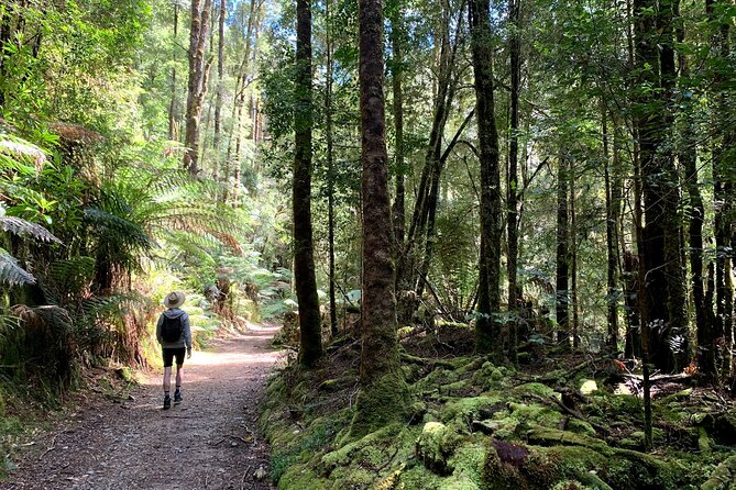 5-Day Best of Tasmania Tour from Hobart - Day three, the big Cradle Mountain choice