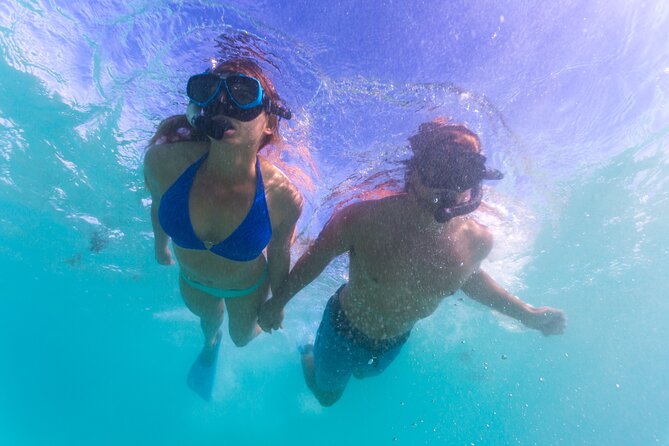 6-Day Coral Coaster from Perth to Exmouth One-Way via Monkey Mia Ningaloo Reef - Why this Perth to Exmouth route works
