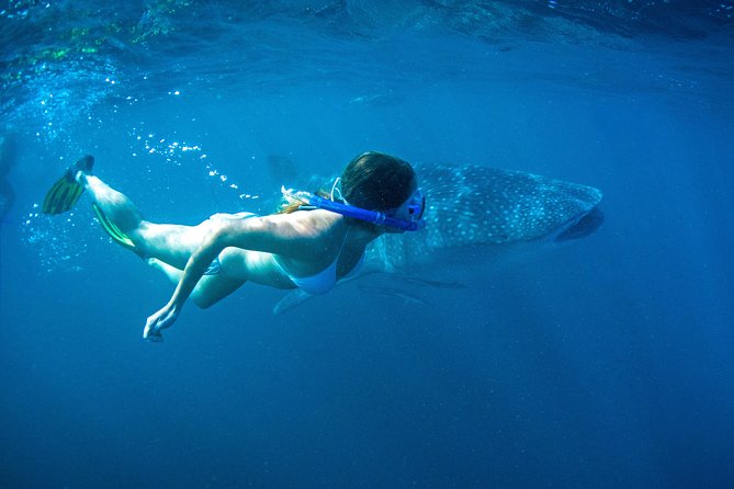 6-Day Coral Coaster from Perth to Exmouth One-Way via Monkey Mia Ningaloo Reef - Meals, accommodation, and group life