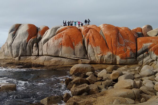 6-Day Tasmanian Explorer Adventure Tour from Hobart - Why this six-day route works