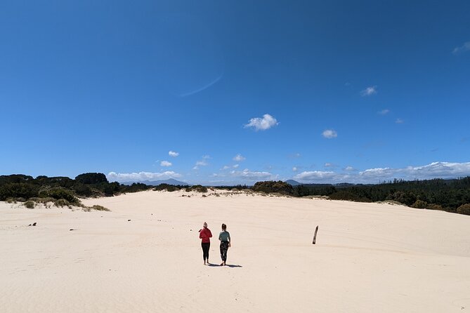 6-Day Tasmanian Explorer Adventure Tour from Hobart - Day 6: Bonorong, Richmond, and kunanyi