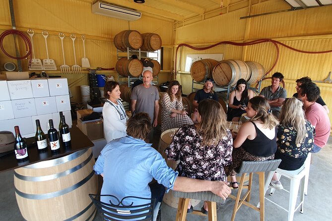 7- 8 Hour StelaVino Guided Wine Tours From Hobart, Tasmania - Price, timing, and overall value