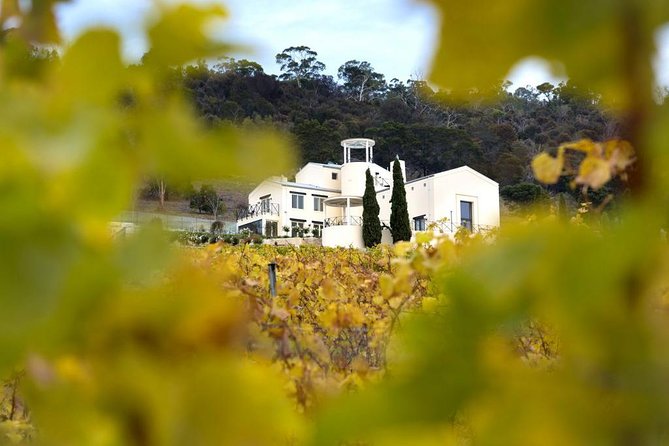 7- 8 Hour StelaVino Guided Wine Tours From Hobart, Tasmania - Visiting four or more cellar doors