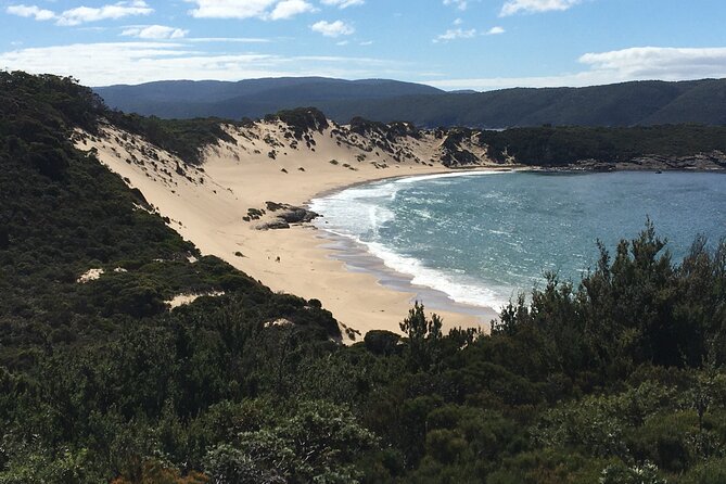 7-Day Super Value Tour of Tasmania: Explore Tasmania's West and East Coasts - Day 4: From Cataract Gorge to the Bay of Fires