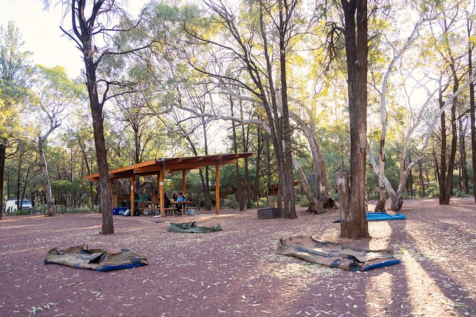 7 Day Uluru to Adelaide Cultural and Adventure Tour - Day 3: Kings Canyon’s four-hour rim walk