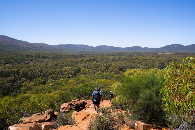 7 Day Uluru to Adelaide Cultural and Adventure Tour - Day 5: Underground Coober Pedy and starry Warren Gorge